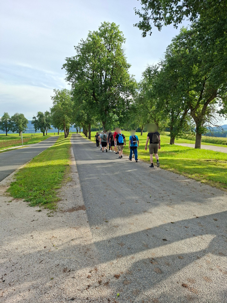 Na sliki so udeleženci, ki so začeli pohod v drevoredu, ki je na začetku pred zaporom Dob pri Mirni.