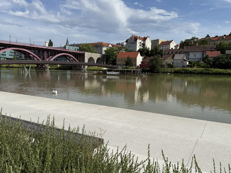 Na sliki je panoramski pogled na mesto Maribor ob reki Dravi
