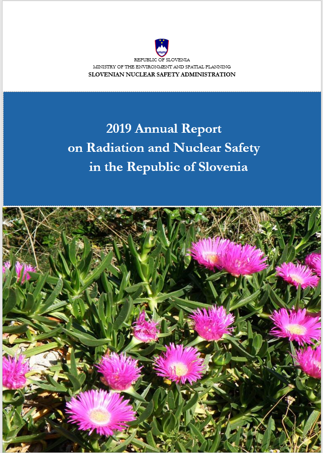 Front page of the SNSA's Annual Report with the title and purple flowers.