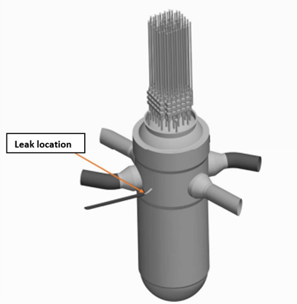 Penetrations into the reactor pressure vessel with the leak location 
