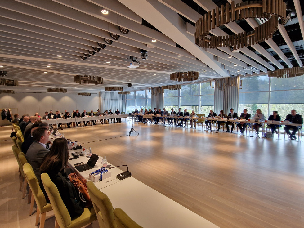Participants during the plenary meeting