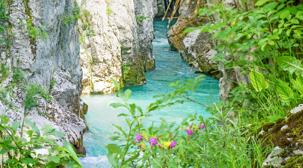 Rečna soteska /  River gorge