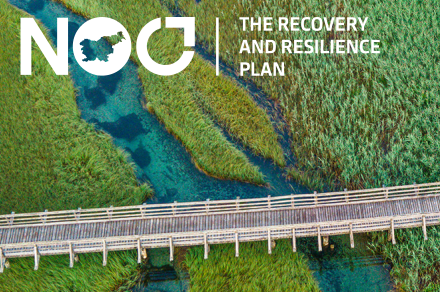 The Recovery and Resilience Plan