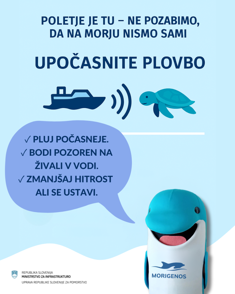 Slikovni prikaz, naj se ladija izogiba morskim živalim med plovbo.