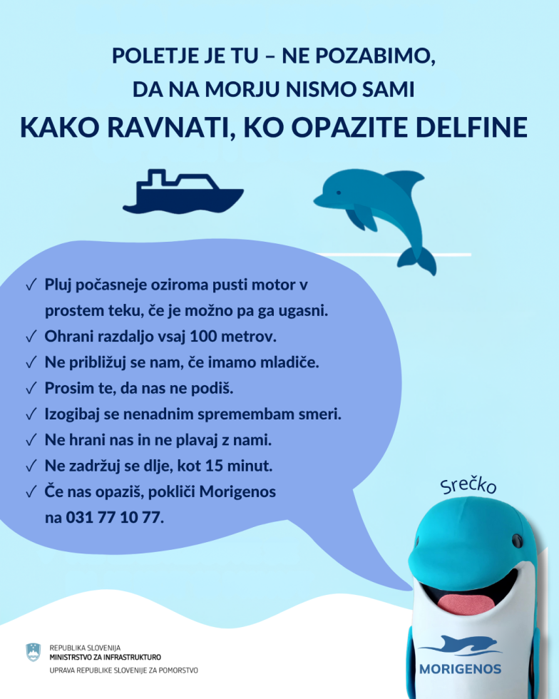 Slika, ki opisuje kako ravnati na morju, ko se opazi delfine.