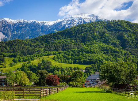 Občina Žirovnica