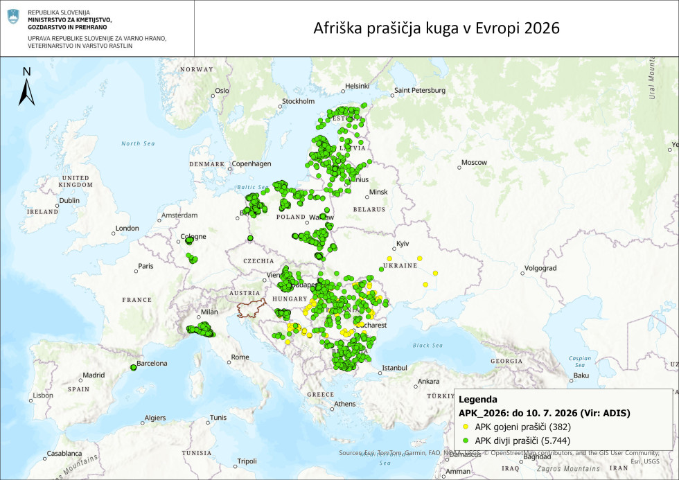 Zemljevid izbruhov APK v Evropi v letu 2026, na dan 10. 7. 2026. Izbruhi pri gojenih prašičih so označeni z rumeno (382 izbruhov), pri divjih prašičih z zeleno (5.744 izbruhov).