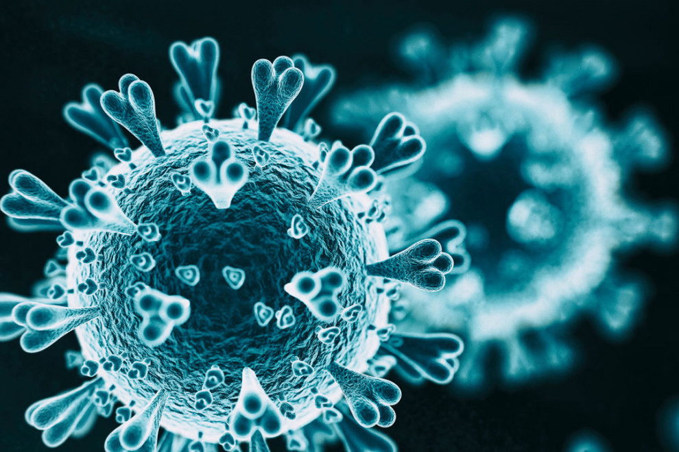 Slika virusa