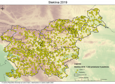 Na zemljevidu Slovenije so s točkami označeni kraji, kjer so bile v letu 2019 opravljene preiskave živali za steklino. Od 1332 preiskanih primerov živali noben vzorec ni bil pozitiven na steklino.
