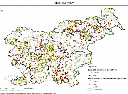 Na zemljevidu Slovenije so s točkami označeni kraji, kjer so bile v letu 2021 opravljene preiskave živali za steklino. Od 270 preiskanih primerov s sumom na steklino in 1053 preiskanih primerov redno odstreljenih živali noben ni bil pozitiven na steklino.