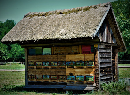tipični slovenski čebelnjak s slamnato streho in porisanimi panjskimi končnicami 