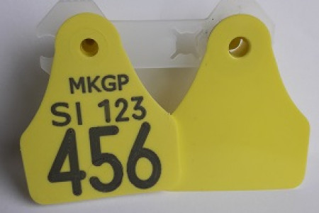 Štirioglata ušesna znamka za označitev drobnice z oznako MKGP