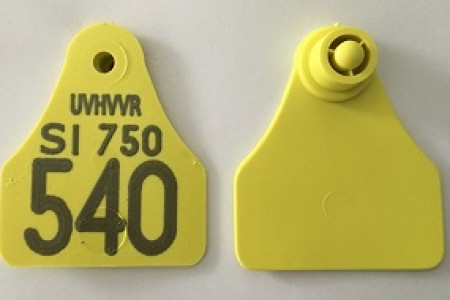 Štirioglata ušesna znamka za označitev drobnice z oznako UVHVVR