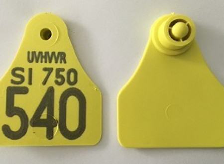 Štirioglata ušesna znamka za označitev drobnice z oznako UVHVVR