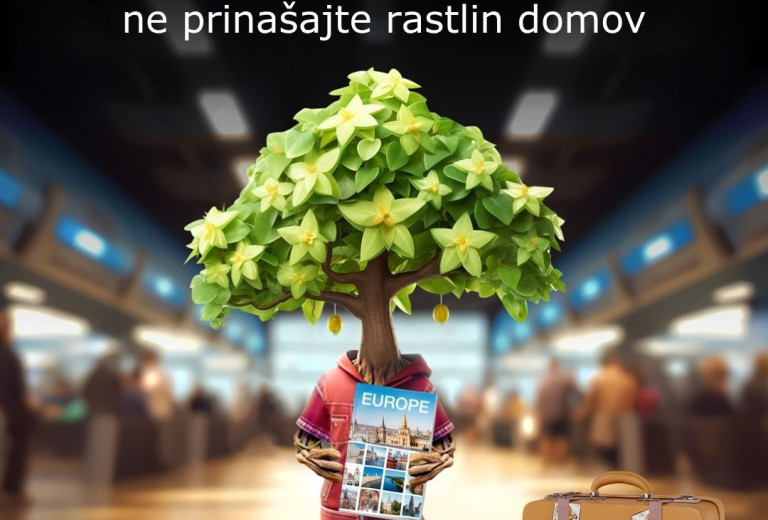 PlantHealth4Life – krepitev preprostih ukrepov za ohranjanje zdravja rastlin