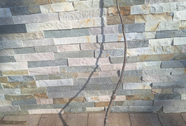 Uprava odsvetuje nakup sadik sadnega drevja preko spleta 