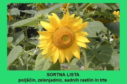 Sortna lista poljščin, zelenjadnic, sadnih rastlin in trte za leto 2022