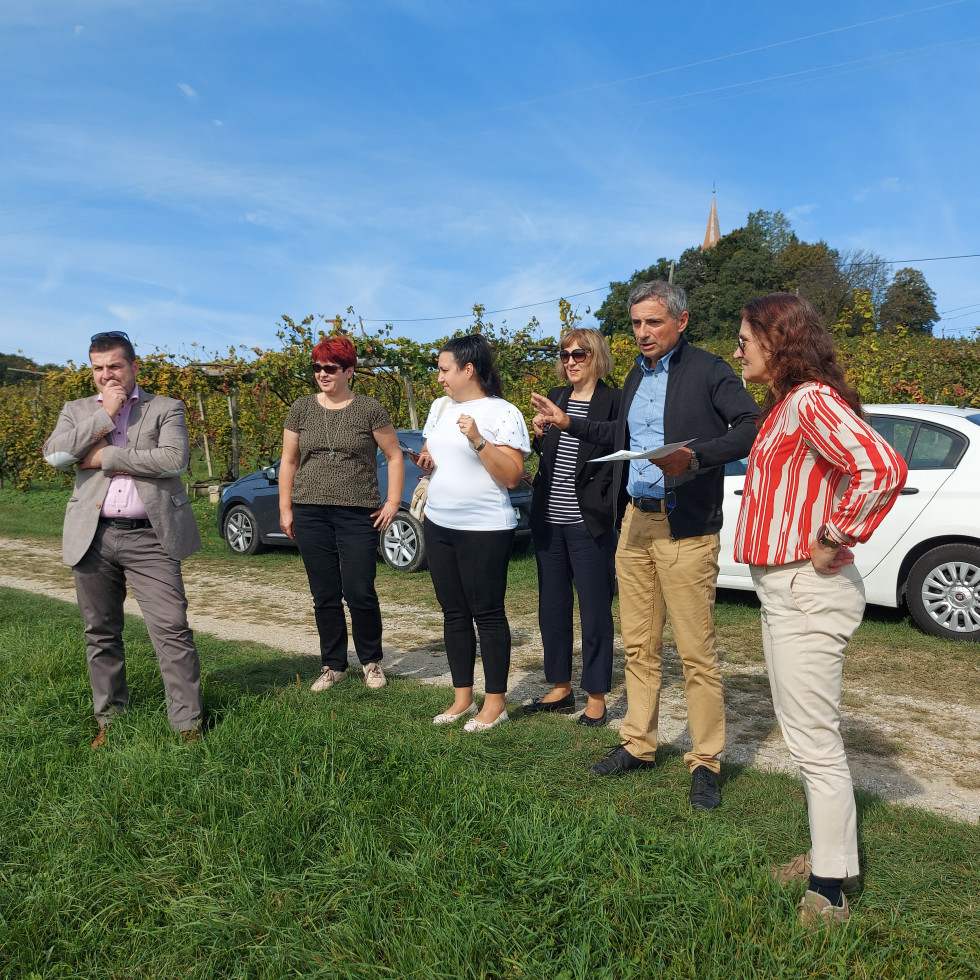 Udeleženci srečanja na terenskem ogledu v vinogradu