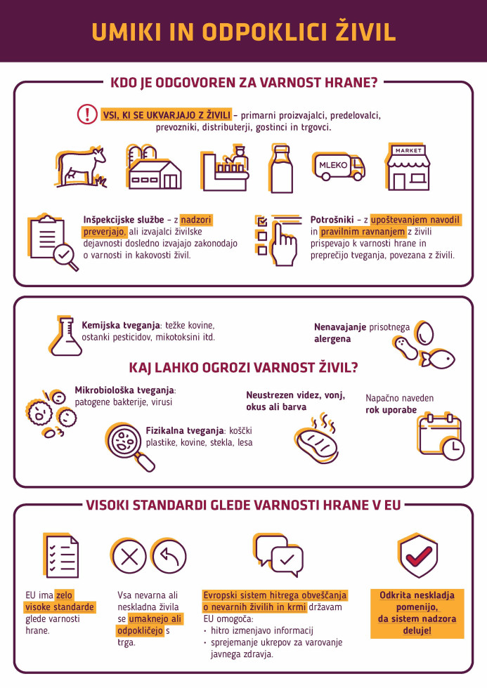 infografika povzema vsebino na spletni strani