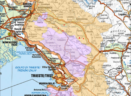 Zemljevid razmejenega območja zlate trsne rumenice v zahodni Sloveniji