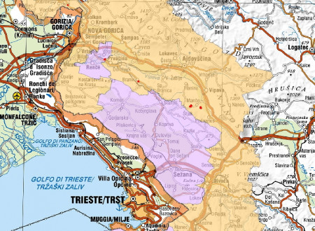 Zemljevid razmejenega območja zlate trsne rumenice v zahodni Sloveniji