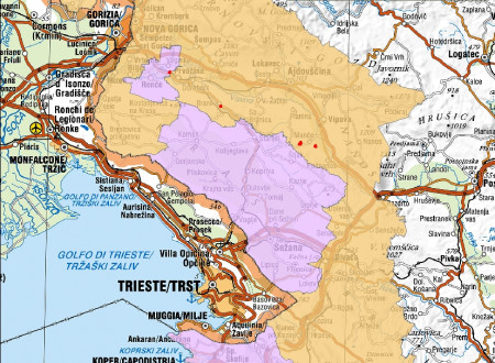 Zemljevid razmejenega območja zlate trsne rumenice v zahodni Sloveniji