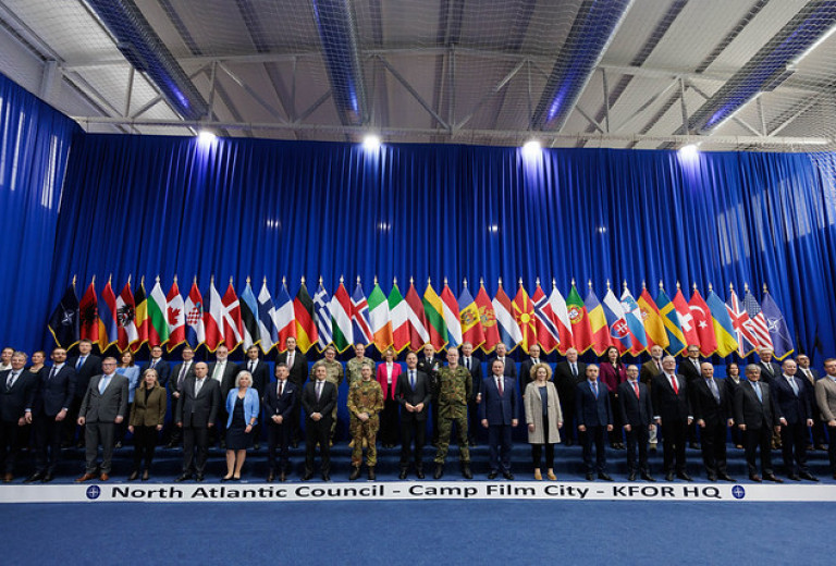 The North Atlantic Council visited KFOR and NALT 