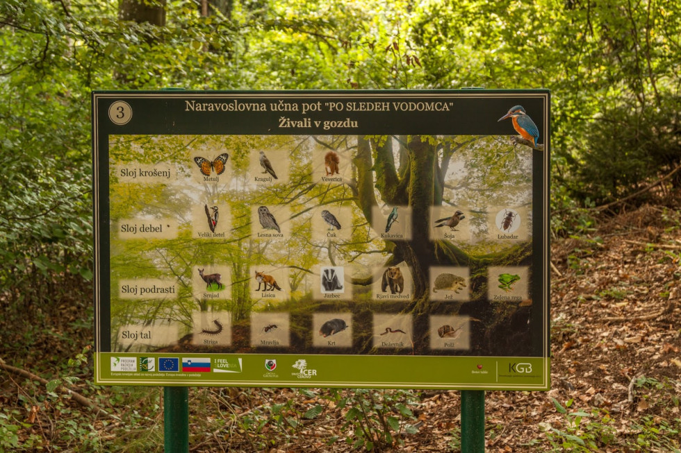 Obrazložitvena tabla na učni poti.