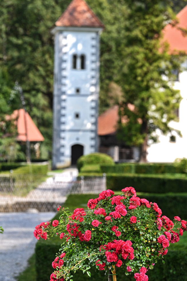 Polhograjska graščina.