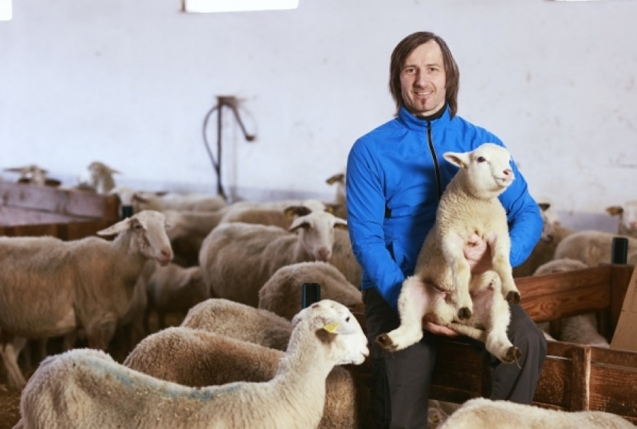 Na fotografiji je nosilec kmetij. V rokah ima manjšo ovco. Okoli njega so ostale ovce. 