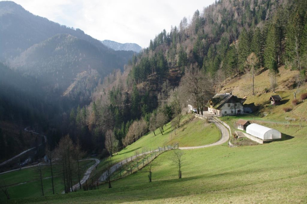 Na sliki je idilična gorska vasica obdana z gozdovi in hribi. V ospredju se vije tlakovana pot, ki vodi do nekaj hiš ob vznožju gozda. Travniki so zeleni, drevesa pa deloma poraščena z listnatim in iglastim drevjem.