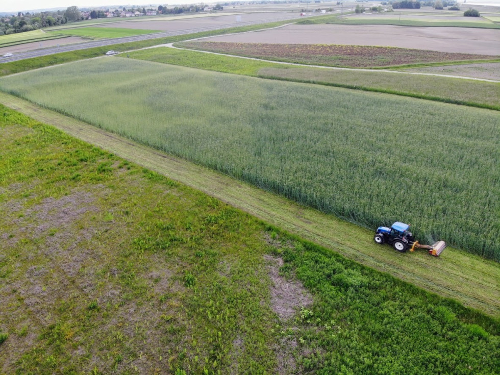 Polje kmetije Černelič