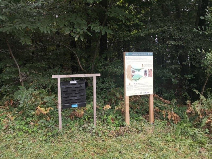 Na sliki sta dve tabli postavljeni ob robu gozda, obdani z zeleno rastlinjem in listjem. Ena tabla je večja z informacijami in slikami, druga pa je manjša in črna z več režami, ki verjetno služijo za interaktivno učenje ali prikaz različnih informacij.