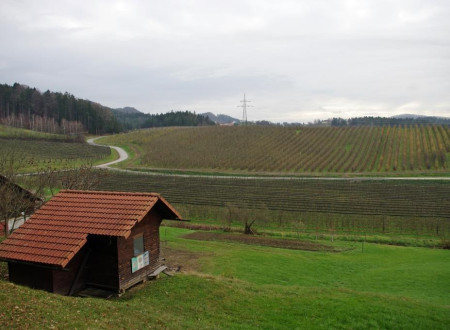 Kmetijska zadruga Šaleška dolina