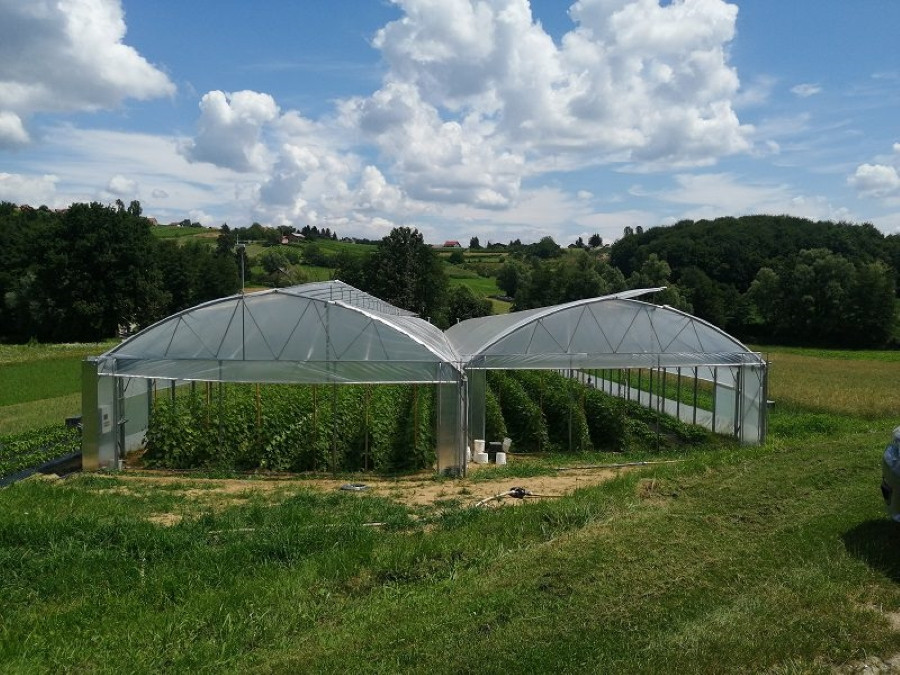 Pogled na dva rastlinjaka. Za njima se vidijo griči. 