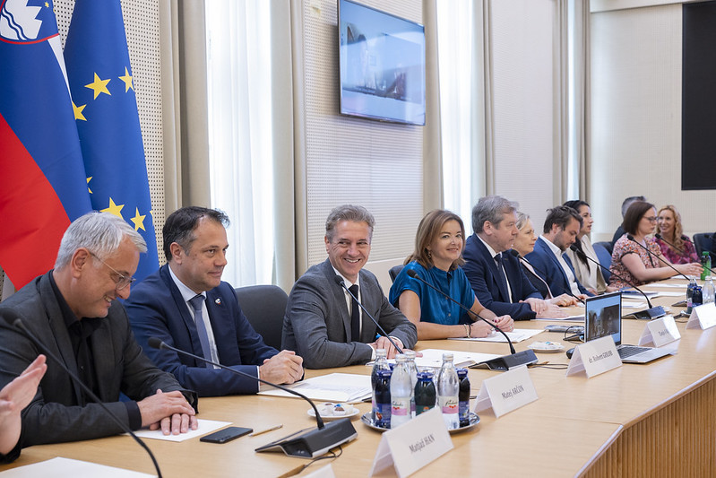 participants at the Council meeting