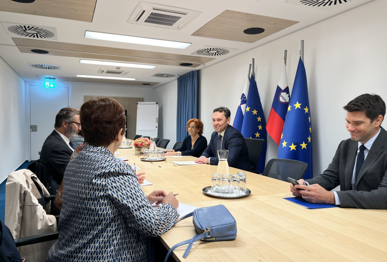 State Secretary Mally receives delegation from the France-Slovenia Friendship Group