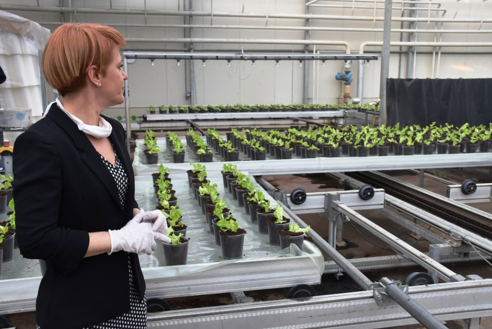 Agriculture Minister Aleksandra Pivec visited Ocean Orchids, whic has decided to also start growing vegetables