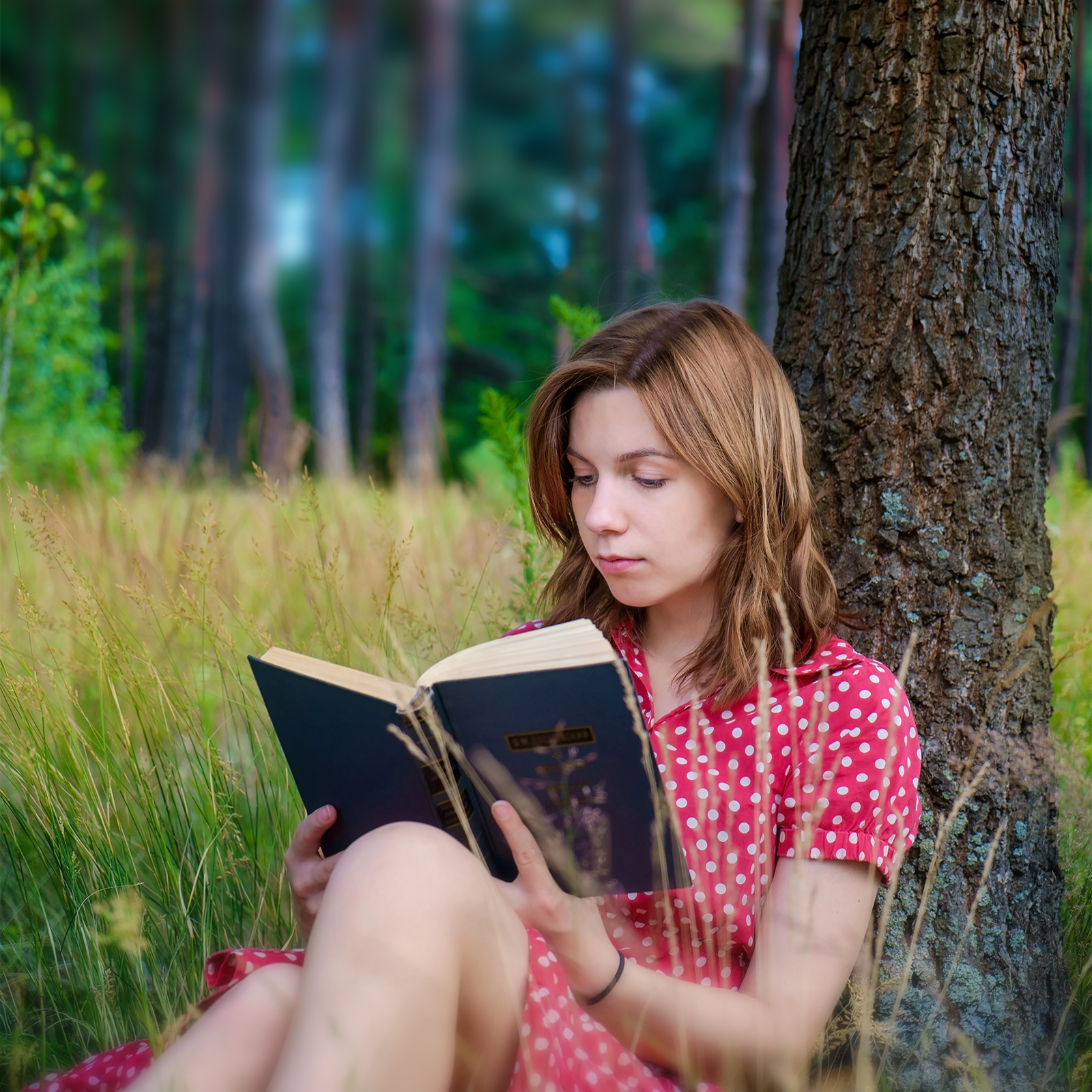 A celebration of books: World Book and Copyright Day