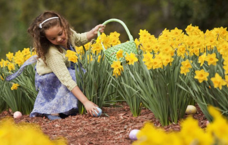 GettyImages 103924827 Ariel Skelley MALA  FitMaxWzIwMDAsMjAwMF0