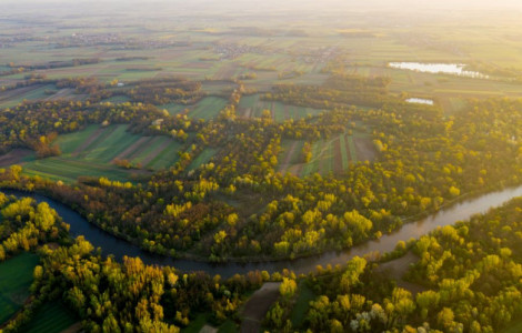 Pohorje (The project will improve the state of the high value natural areas and habitats on Pohorje)