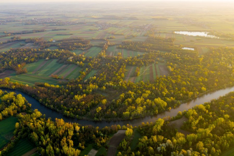 The project will improve the state of the high value natural areas and habitats on Pohorje