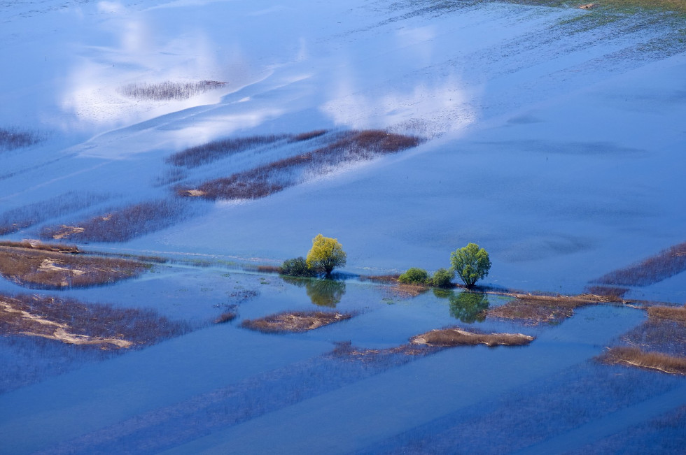 Cerknica lake