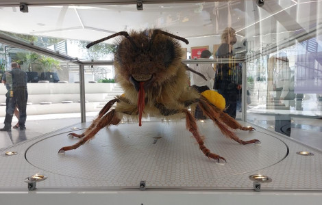 65959122 (The 100 times larger Carniolan honeybee was created to celebrate Slovenia's EU Council Presidency and was also a hit at the Slovenian pavilion at the Expo in Dubai)