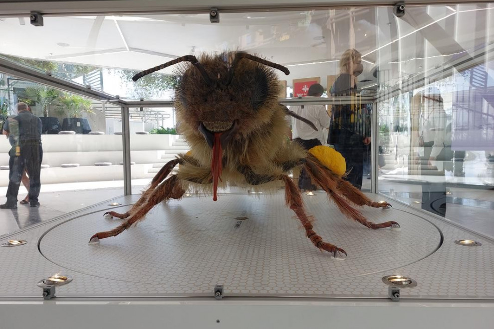 The 3D model of the bee was made by the company Intri for the Slovenian Beekeepers’ Association