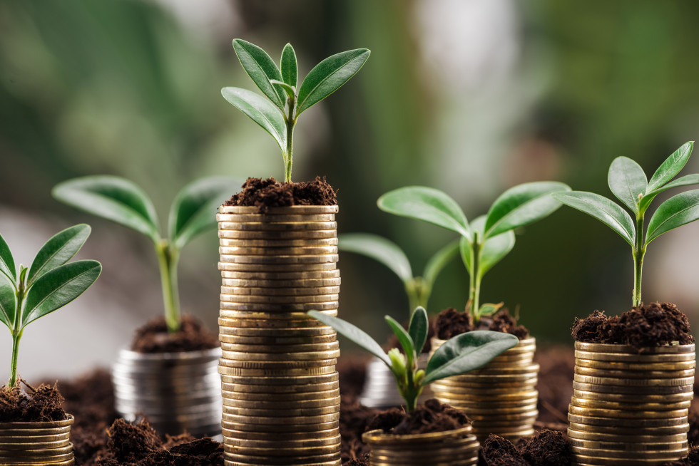 Plants grow on coins.