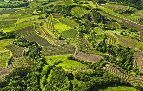 F002042 10 zgornja vipavska orig jpg photo m 1 (Vipava Valley: Slovenia's beautiful hidden treasure)