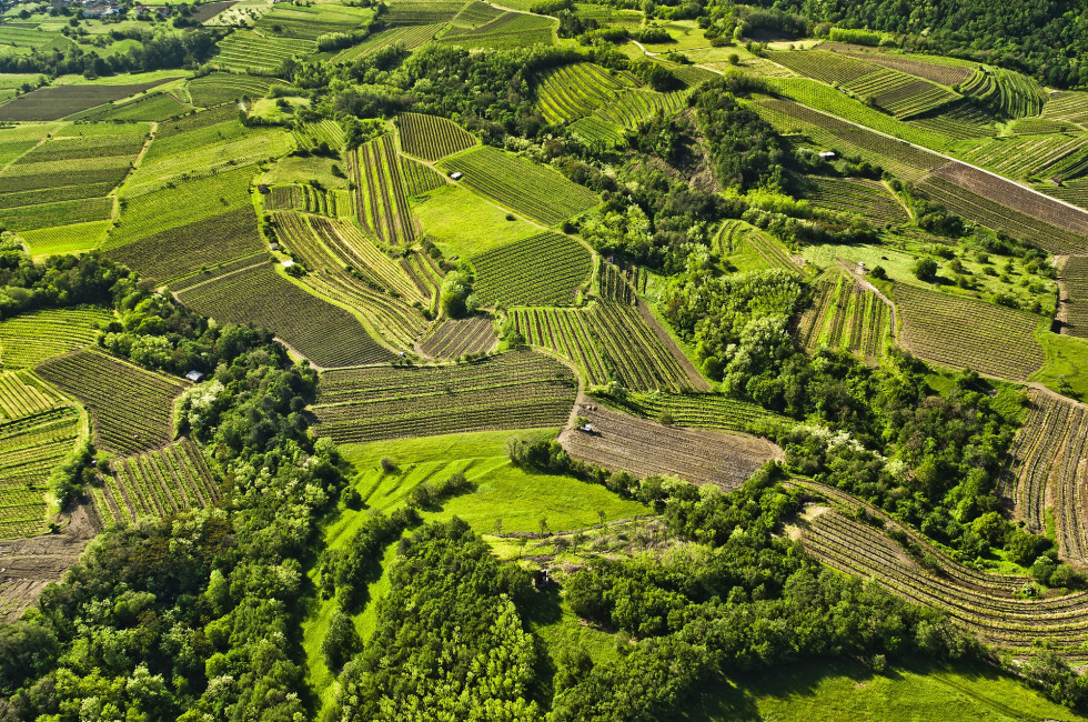 Vipava Valley: Slovenia's beautiful hidden treasure