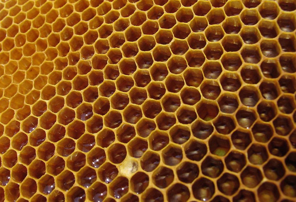 Slovenia would like the EU to enhance honey origin labelling