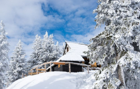 Koca Bistra (The Bistra Hut in Velika Planina)